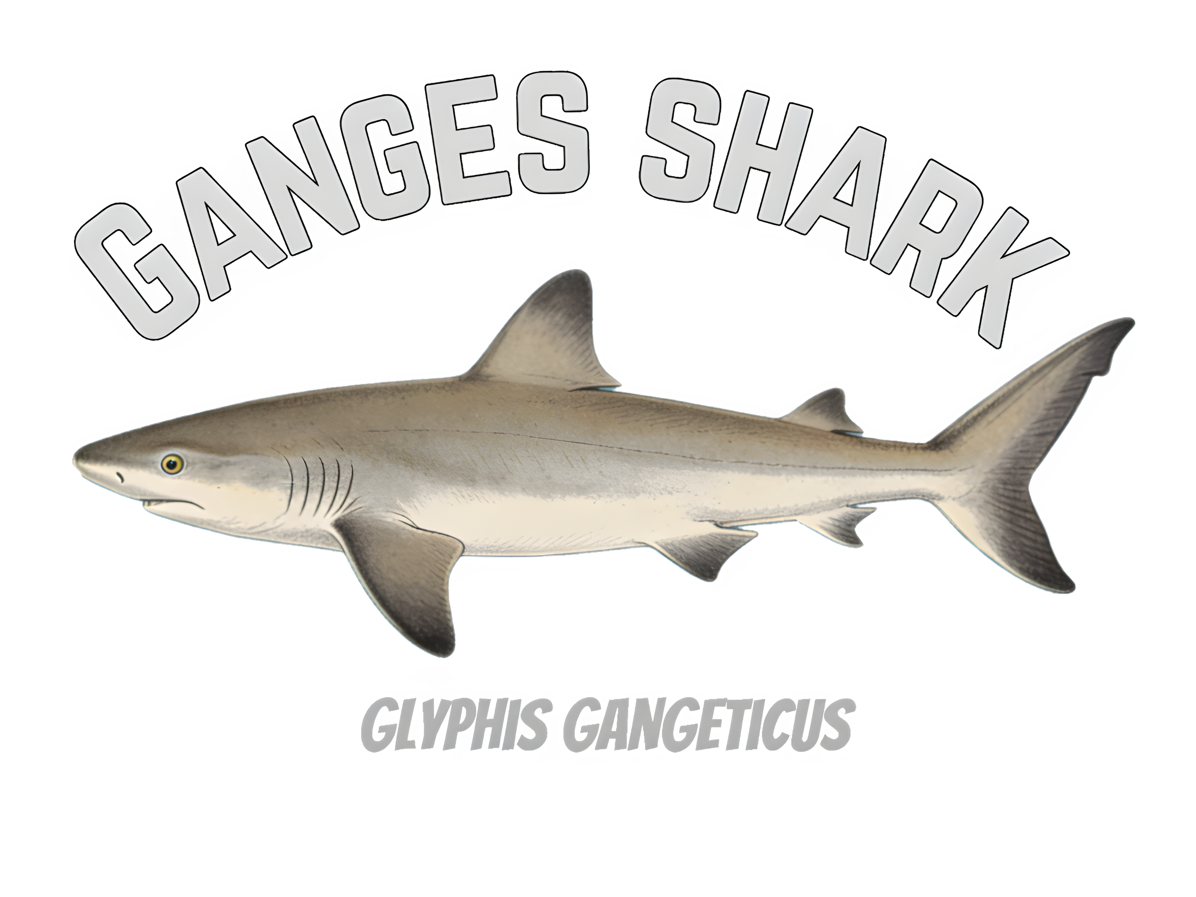 The River Sentinel Regular Fit T-Shirt: Ganges Shark